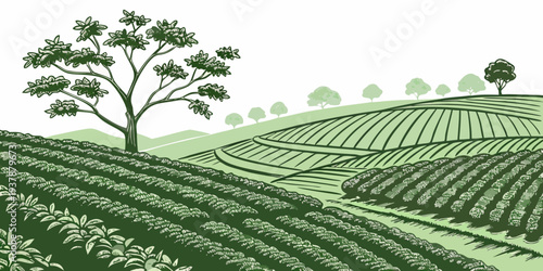 A green landscape with a tree and rows of crops Vector