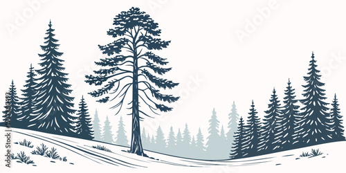 A snowy landscape with pine trees on a hill Vector