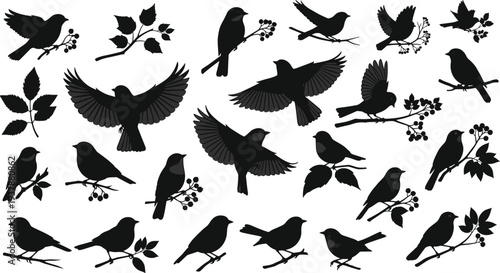 bird silhouettes collection, flying birds, perched birds, black bird shapes, nature wildlife set, isolated vector style, branch leaves design