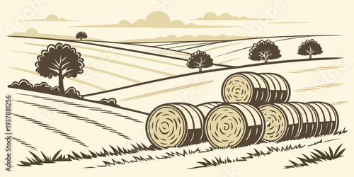A rural landscape with hay bales in a field Vector