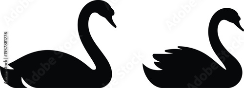 Swan, Bird, Wildlife, Waterfowl, Animal, Silhouette, Black, Elegant, Lake, Nature, Feather, Aquatic, Illustration, Icon, Isolated, Graceful, Symbol, Pair, Design, Minimal