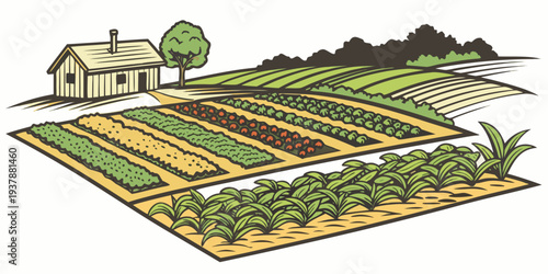 An illustration of a garden with rows of plants and a house Vector