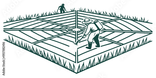 A green line drawing of a garden plot with rows of plants Vector