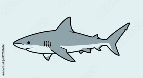Cartoon shark illustration on light blue background ocean animal concept