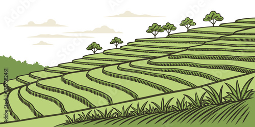 A green field with trees on a hillside Vector