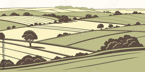 A rural landscape with fields and trees Vector