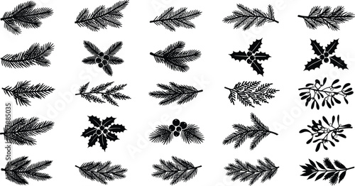 Black silhouettes of various pine branches and holly leaves