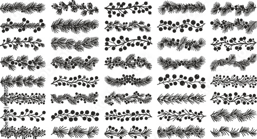 Black silhouettes of various pine branches with berries on white background