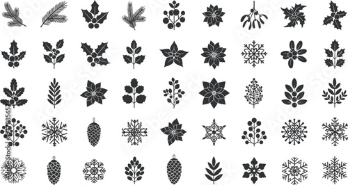 Collection of black winter botanical elements and snowflakes