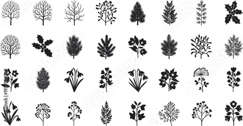 Collection of elegant black silhouettes of various plants and trees