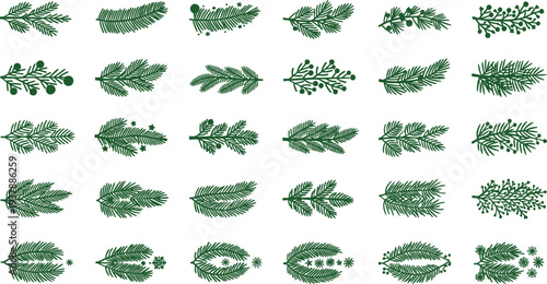 Collection of green Christmas tree branches and leaves