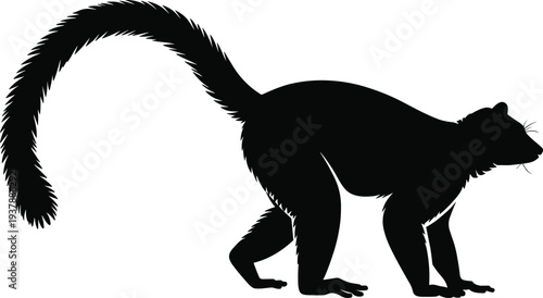 Black silhouette of a lemur with a long bushy tail walking isolated on a white background for wildlife nature conservation and zoo animal design