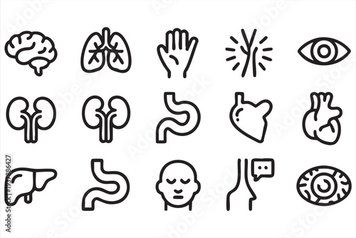 Human Organ Line Icon Collection for Medicine and Biological Education