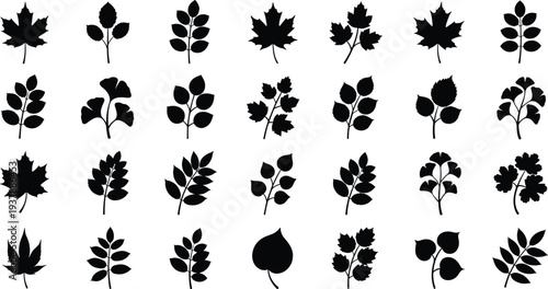 Collection of various black leaf silhouettes on white background