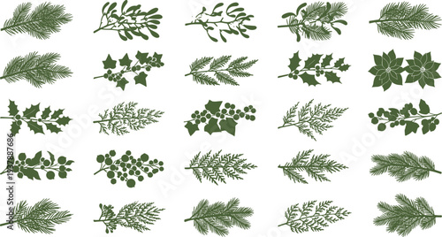 Various green Christmas leaves and branches for holiday decoration