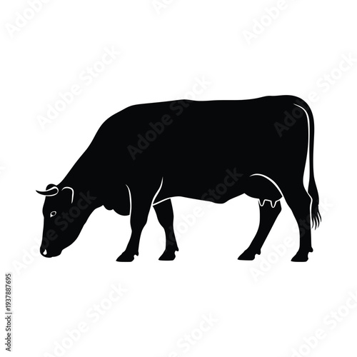 Black silhouette of a cow grazing on a white background side view illustration