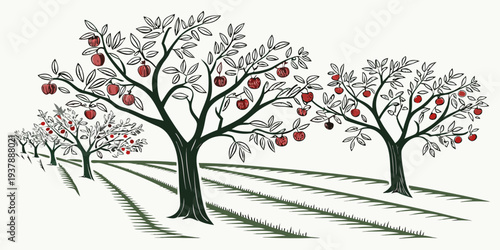 An apple orchard with trees and red apples Vector