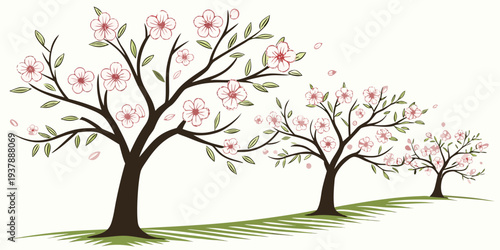 Εκτύπωση καμβά Three flowering trees with pink blossoms Vector