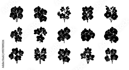Collection of black floral silhouettes on white background for design and decoration purposes