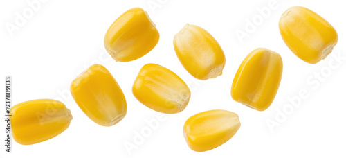 Group of yellow corn kernels food