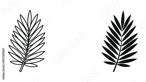 Palm Frond Leaf Line Art Silhouette Vector Design Tropical Botanical