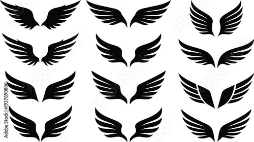 Flying black bird wings set flat design vector illustration scalable graphic