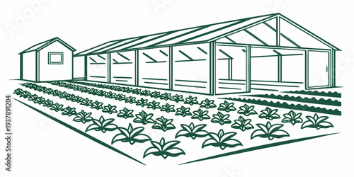 A green drawing of a greenhouse with plants growing inside Vector