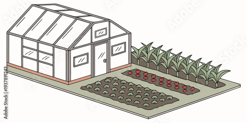 A small greenhouse next to a garden and a field of crops Vector
