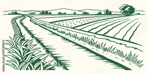 A green and white drawing of a field with rows of crops Vector
