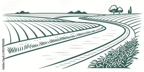 A green line drawing of a vineyard with rows of vines Vector