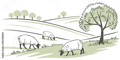 A drawing of sheep grazing in a green field Vector