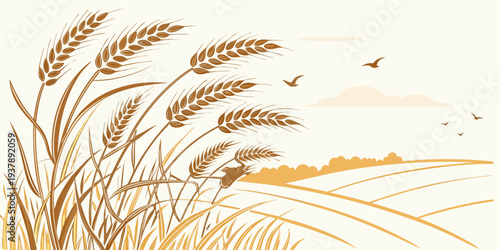 A golden wheat field with birds flying overhead Vector