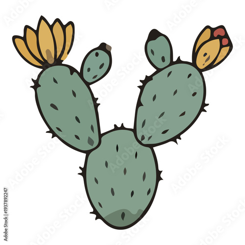 Prickly Pear Cactus Illustration