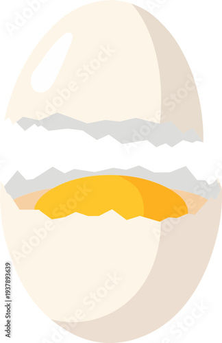 Cracked Egg Yolk Illustration
