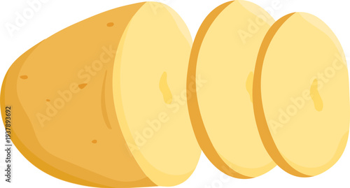 Sliced Raw Potato Illustration