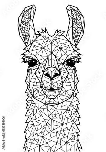 Lama, Animal, Geometric Face,  Coloring Book for Adults, black and white line art