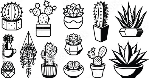 Hand drawn cactus and succulent potted plants line icon set