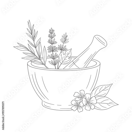 Mortar and pestle with fresh herbs and flowers in a rustic sketch style symbolizing natural remedies and herbalism