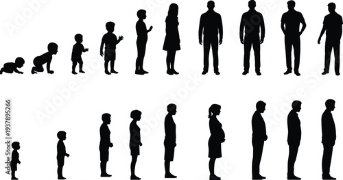 Human life stages silhouettes set, growth progression from baby to adult isolated vector illustration collection series