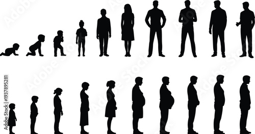 Human growth silhouettes set, life stages from baby to adult isolated vector illustration collection series
