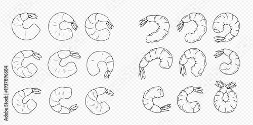 Outline vector illustration of shrimp, prawn, and seafood set for culinary designs.