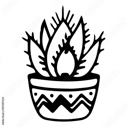 Doodle Succulent in Pot