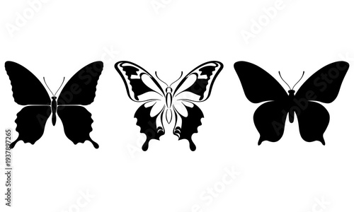 butterfly vector illustration on white background