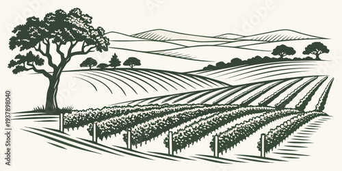 A serene landscape of rolling hills and a winding road under a clear sky Vector