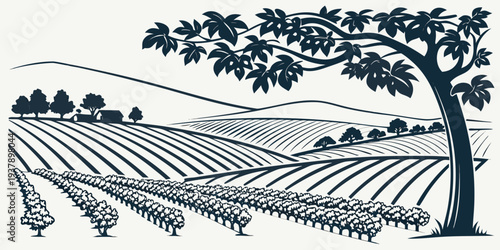 A serene landscape of rolling hills covered with rows of grapevines under a clear sky Vector