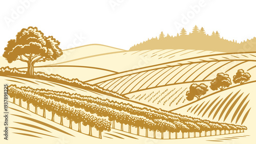 A serene landscape of a farm with rolling hills and a clear blue sky Vector