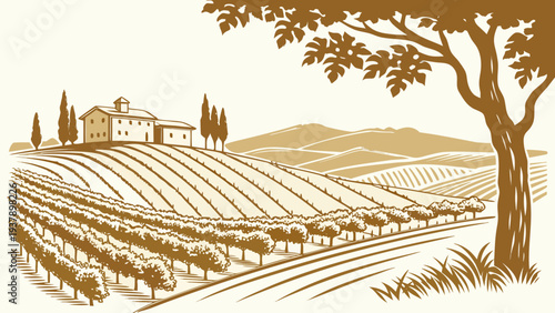 A picturesque view of a vineyard with rows of grapevines and a farmhouse in the distance Vector