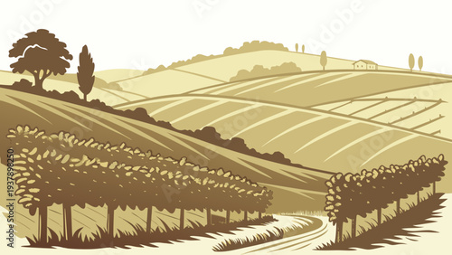 Vast vineyard with rolling hills and a winding road in the countryside Vector