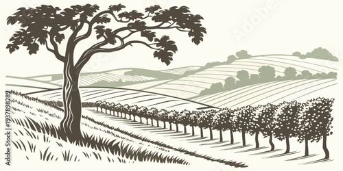 A serene landscape featuring a solitary tree standing tall amidst a vast field of crops. Vector