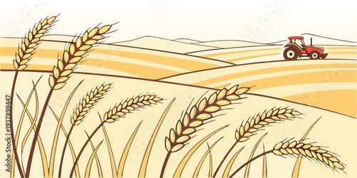 A farmer driving a tractor through a golden wheat field under a clear blue sky. Vector